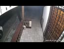 やじゅまんと見る開いてるじゃん