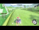 【カービィのエアライダー】プランテス FR ワープスター（タランザ）00'18"28