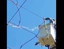 やじゅまんと見る仕事