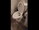 やじゅまんと見る聴けん