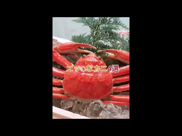 君のユーモアイロニカニ、4選