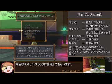 ダーククロニクル Any%(JP-Glitchless-NoHDD)-Emu RTA 8:55:45 Part19（前編）/?