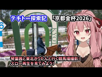 【テキトー探索記】「京都金杯2026」琴葉茜と東北きりたんと行く競馬場撮影！ スロー再生を見てみよう！