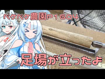 2026年1月13日　農作業日誌P1604　足場屋さんを待ってからあちらこちら走ってからの木工細工