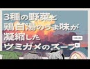 【日記】3種の野菜と鶏白湯のうま味が凝縮したウミガメのスープ