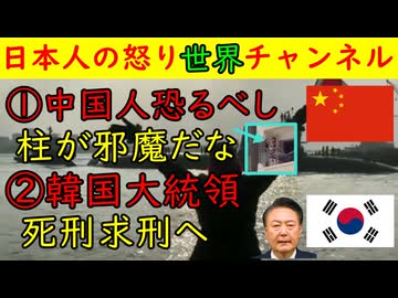 ①恐怖の中国人「この柱は邪魔やな！せや切ったろ！」②韓国大統領「検察が死刑求刑」この国は逝っている　#韓国 #中国