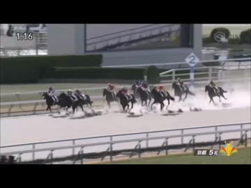 2026/01/11 京都5R 3歳1勝クラス ライトオブヌカタ