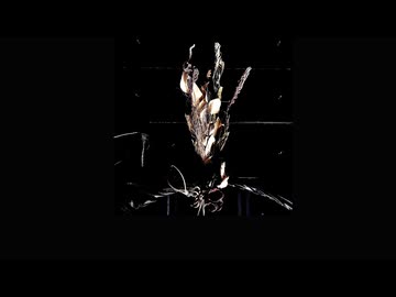 僕は僕を見捨てた (feat. 初音ミク)【公式MV】