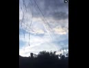 やじゅまんと見る電線