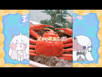 えちっとカニヨンセン