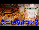 カニで戦うより生身のほうが強くね？【DuneCrawl】