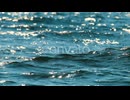 Sparkling Ocean Waves on a Sunny Day