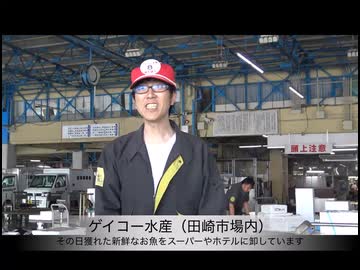 Fender Studio Pro 8のビデオ機能テスト