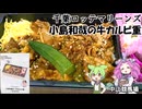 中山競馬場 千葉ロッテマリーンズ プレイヤーコラボ弁当 小島和哉の牛カルビ重 ジョッキーも始球式をする