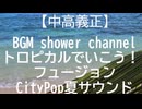 高音質.「一瞬で心が南国へ。仕事中なのに海が見えるギター」 #中高義正 #JapaneseFusion #CityPop #作業用BGM #トロピカル .PART5