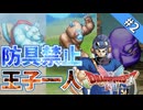脳筋王子、リカントと〇〇にボコボコにされる…【防具禁止&攻撃呪文特技禁止】【ドラクエ2縛りプレイ#2】