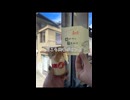 ISFP女の尾道vlog