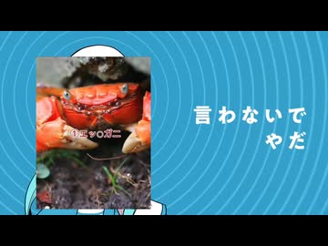 エッチなカニを信じるな！