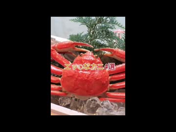 エッチなカニっちゃいそう！4選