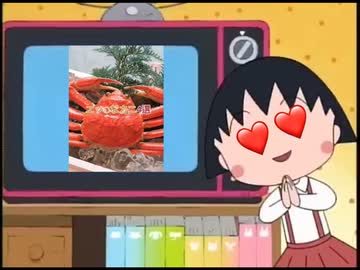 エッチなカニ4選子ちゃん