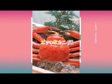 たぶんエッチなカニ4選