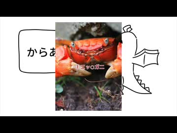 エッチなカニ発表ドラゴン