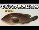 キジハタ（アコウ）をさばこう