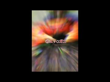 エッチガニのグルメレース