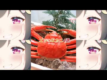 エッチなきゅうくらりん4選