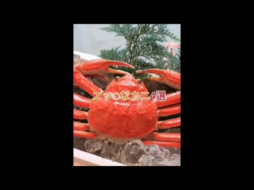 いーあるエッ〇ガニ