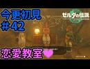 ワーシャのパーフェクト恋愛教室【ゼルダの伝説 ティアーズ オブ ザ キングダム】Part42