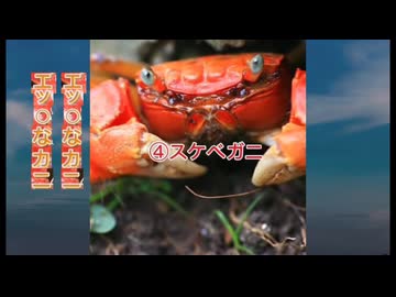 エッチなカニしね