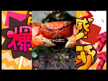 自己肯定感爆上げカニ4選