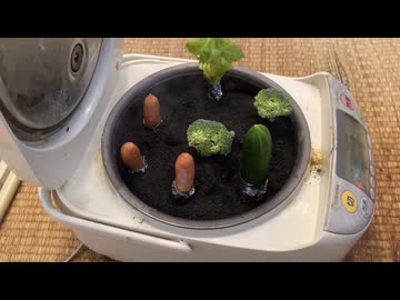 炊飯器で低温調理をしてみた