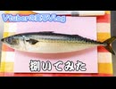 【Vlog】サバを捌いてみた【Vtuber / 実写】