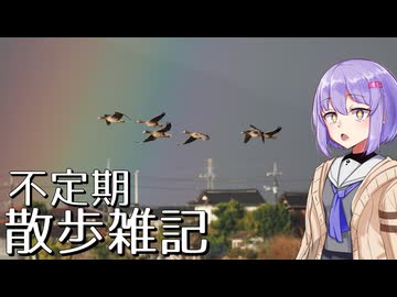 不定期散歩雑記_87 - 宍道湖西岸探鳥(12月)