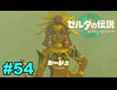 【ゆっくり実況】ティアキンぜんぶやる #54