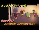 あつまれどうぶつの森　スプラコラボ　みさきに会いに行く　キャンプサイト　＃６　【あつ森ver3.0～】