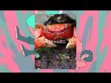 エッチなカニに駆ける