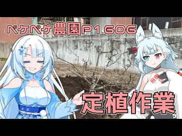 2026年1月15日　農作業日誌P1606　柿の木やらなんやらを家庭菜園に定植していくよ