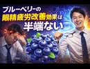 ブルーベリーの眼精疲労改善効果は半端ないっていう話