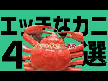 金星のエッチなカニ4選