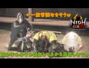 え？猿でも出来る礼儀作法ワイ知らんの？ｗｗｗ【仁王2】【NIOH2】【実況】#3
