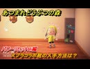 あつまれどうぶつの森　スプラコラボ靴の入手方法は？パワーリセットHi編　＃２８　【あつ森ver3.0～】