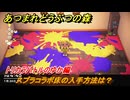あつまれどうぶつの森　スプラコラボ床の入手方法は？トリカラバトルのゆか編　＃３３　【あつ森ver3.0～】