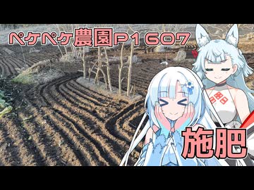 2026年1月16日　農作業日誌P1607　家庭菜園がきれいになったので肥料を撒いて耕すよ