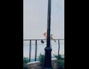 やじゅまんと見る美人