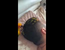 やじゅまんと見るおしゃれ