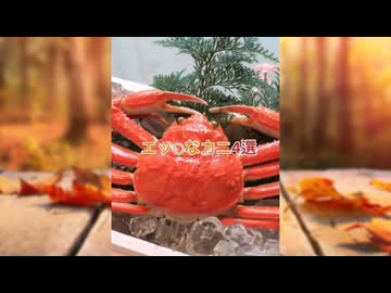 エッチな秋4選