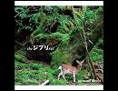 となりのトトロ 風のとおり道 [DAISHI DANCE]